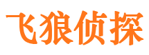 合作市侦探调查公司